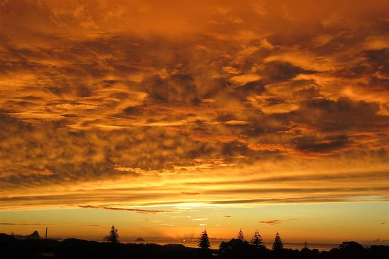 Photo of property in 16a Links Drive, Waiwhakaiho, New Plymouth, 4312