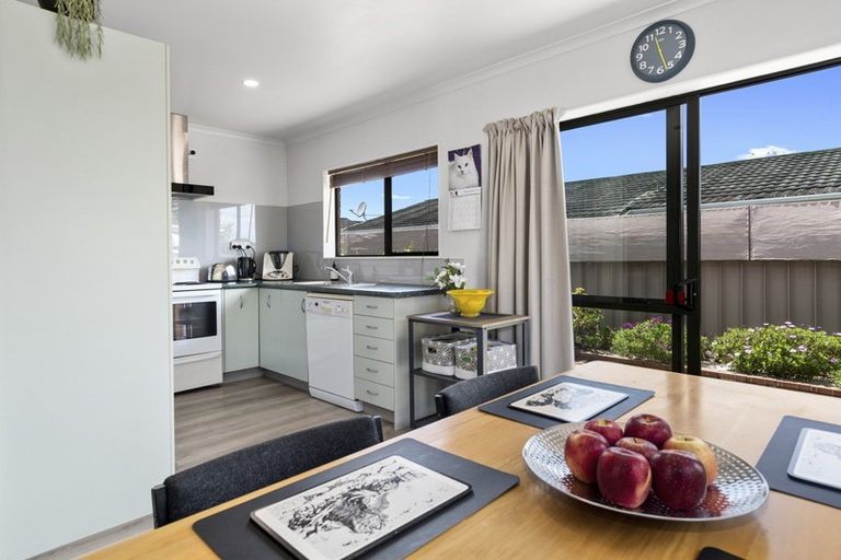 Photo of property in 256 Waihi Road, Judea, Tauranga, 3110