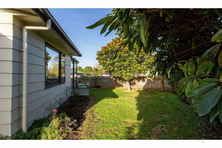 Photo of property in 11 Williamson Place, Geraldine, 7930