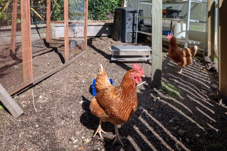 Photo of property in 58 Mere Road, Taupo, 3330