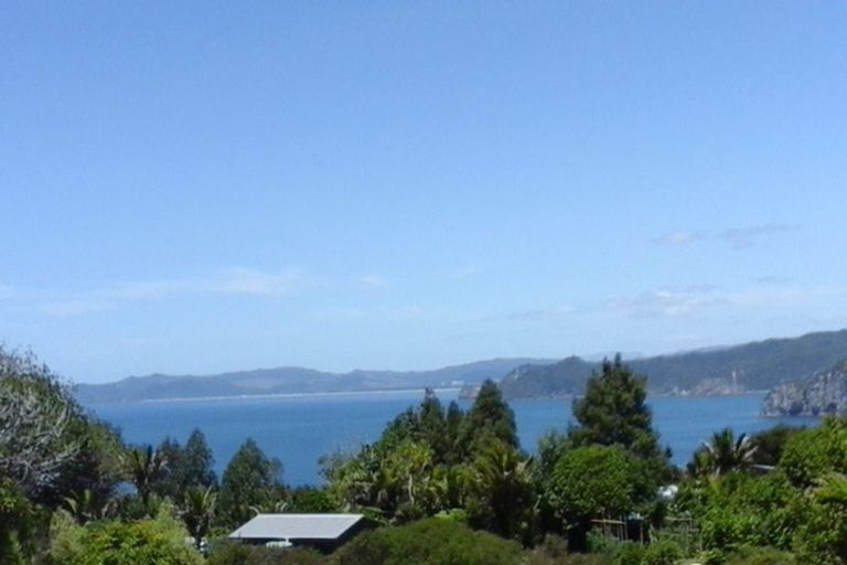 Photo of property in 20 Puriri Place, Tuateawa, Coromandel, 3583