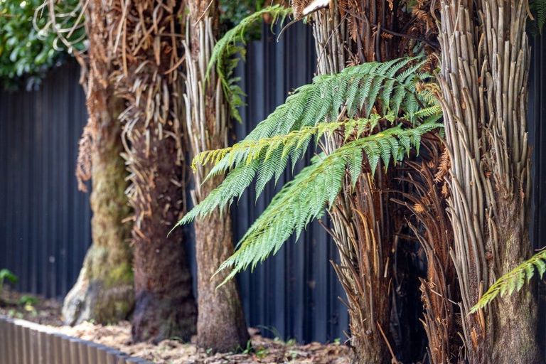 Photo of property in 17 Matipo Crescent, Pukete, Hamilton, 3200