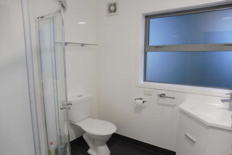 Photo of property in 103 Nixon Street, Hamilton East, Hamilton, 3216