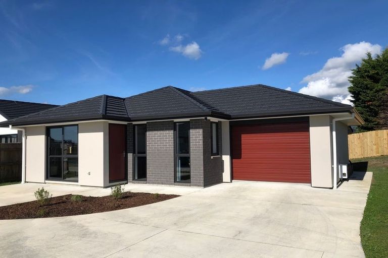 Photo of property in 79a Hinemoa Street, Levin, 5510