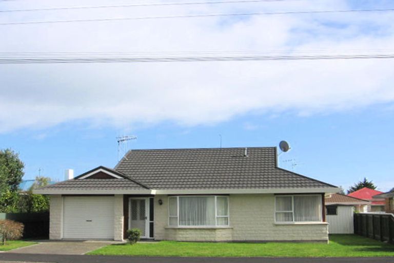 Photo of property in 83 Weraroa Road, Levin, 5510