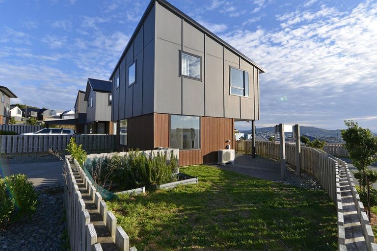 Photo of property in 4 Astelia Way, Woodridge, Wellington, 6037