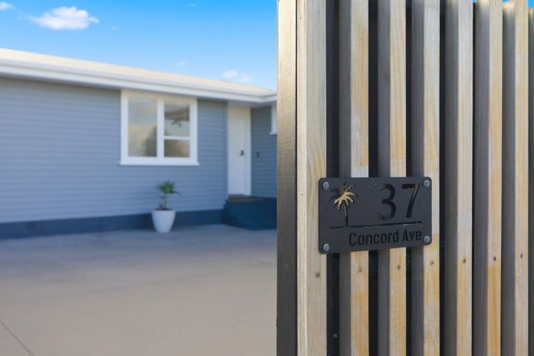Photo of property in 37 Concord Avenue, Mount Maunganui, 3116