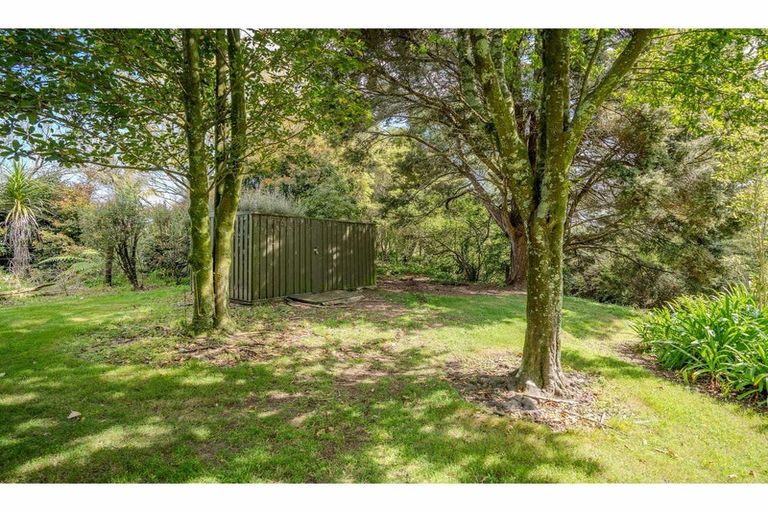 Photo of property in 305 Waipapa Road, Waipapa, 0230