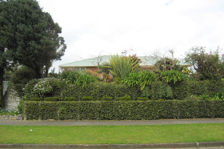 Photo of property in 109 Kawiu Road, Levin, 5510