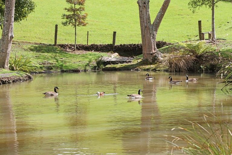 Photo of property in 1495 Ararimu Road, Hunua, Papakura, 2583