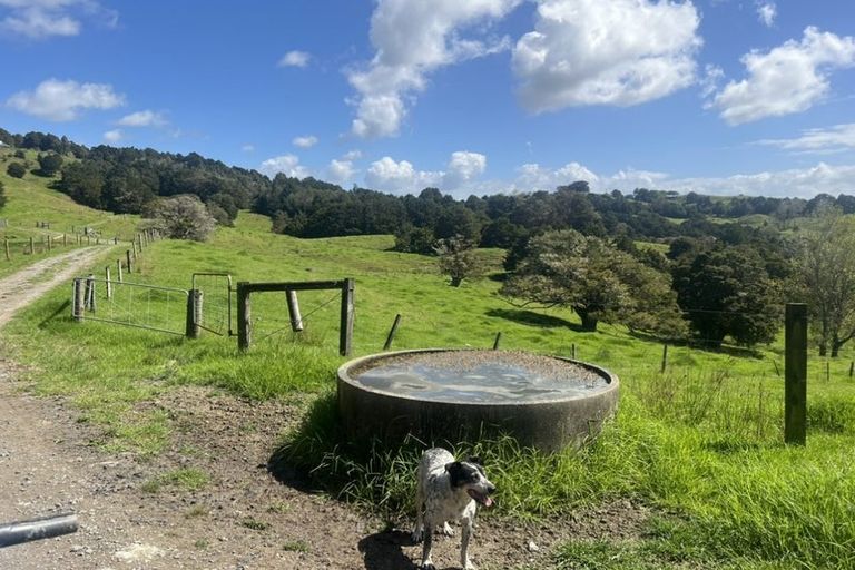 Photo of property in 492 Wairere Road, Paparoa, 0571