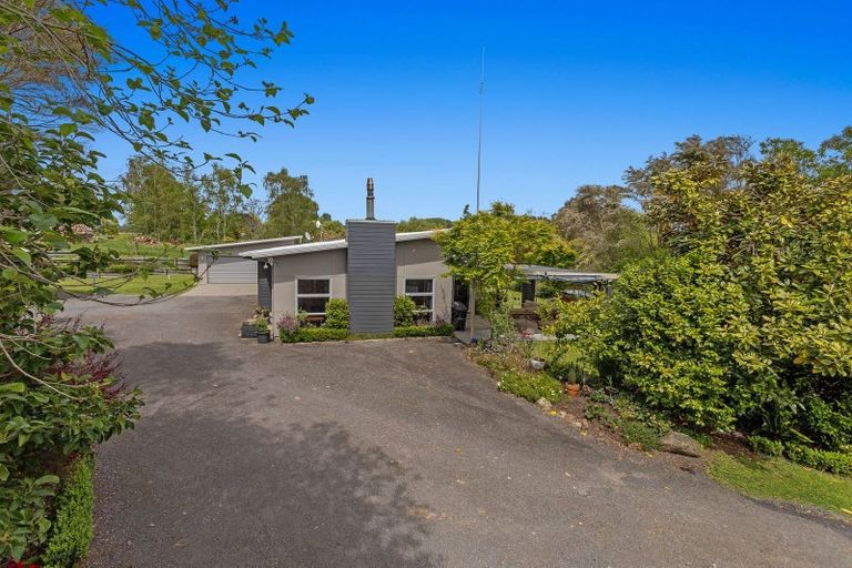 Photo of property in 133 Hogg Road, Rotoma, Whakatane, 3192