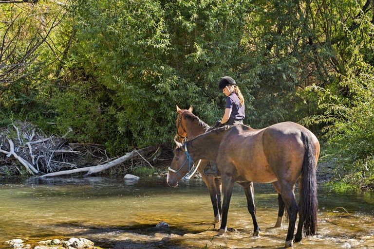 Photo of property in 553b Ardgour Road, Tarras, Cromwell, 9383