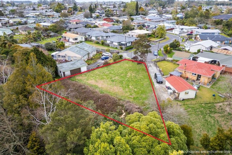 Photo of property in 23 Morrison Crescent, Glenview, Hamilton, 3206