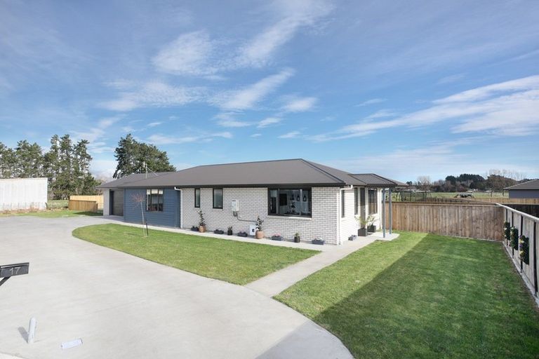 Photo of property in 17 George Street, Bulls, 4818