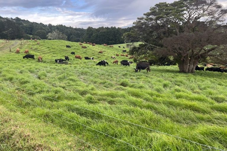 Photo of property in 492 Wairere Road, Paparoa, 0571