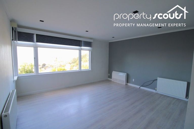 Photo of property in 14 Coney Hill Road, Saint Clair, Dunedin, 9012