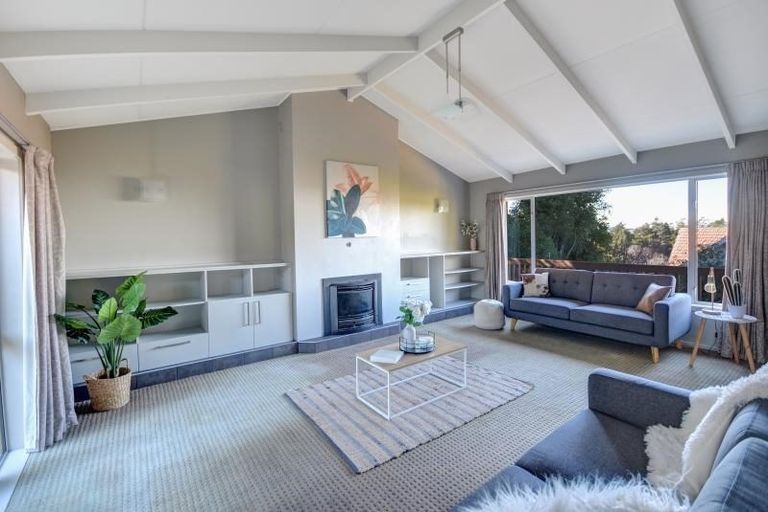 Photo of property in 45 Leven Street, Roslyn, Dunedin, 9010