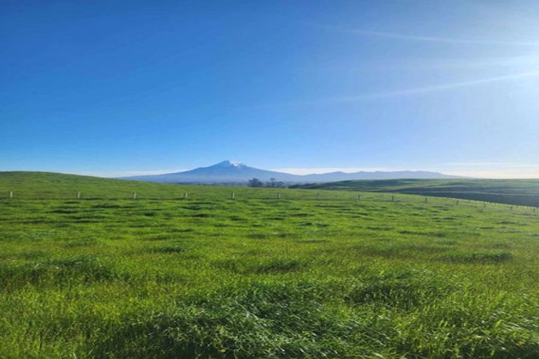 Photo of property in 137 Lincoln Road, Inglewood, 4389