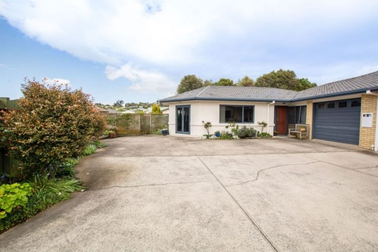 Photo of property in 63 Solomon Street, Brookfield, Tauranga, 3110