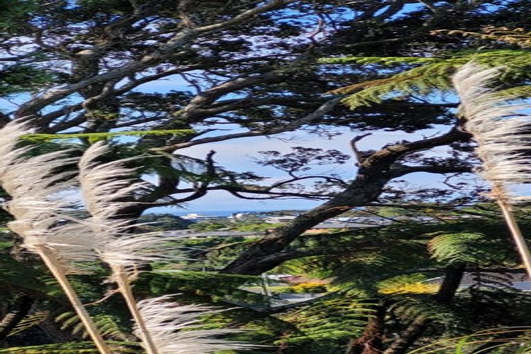 Photo of property in 109 Frankley Road, Frankleigh Park, New Plymouth, 4310