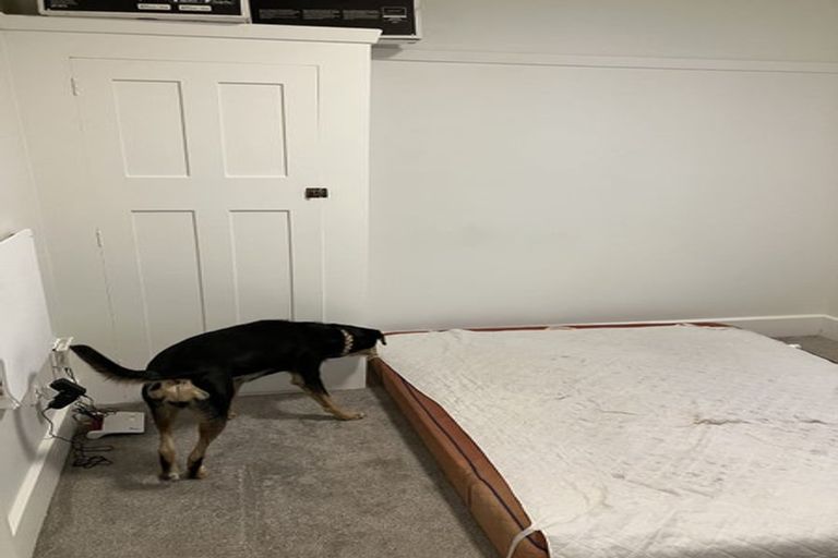 Photo of property in 11 Ferrymead Terrace, Ferrymead, Christchurch, 8081