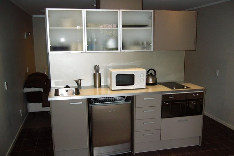 Photo of property in Luna Apartments, 1n/16 Burton Street, Grafton, Auckland, 1010