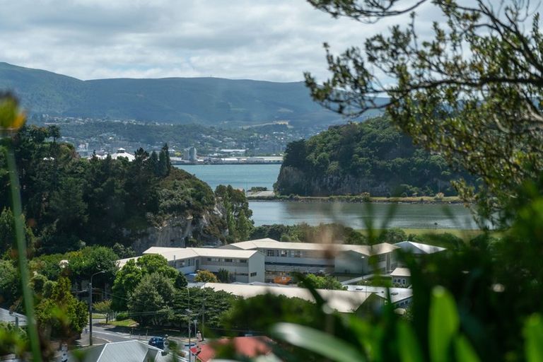 Photo of property in 36 Arawa Street, Tainui, Dunedin, 9013