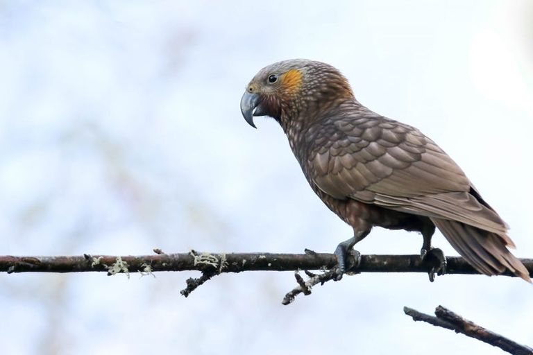 Photo of property in 179 Mcgregor Road, Ohaupo, 3882