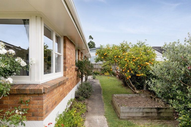 Photo of property in 38 Vivian Drive, Omokoroa, 3114
