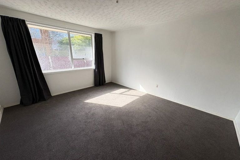 Photo of property in 60 Aldwins Road, Phillipstown, Christchurch, 8062
