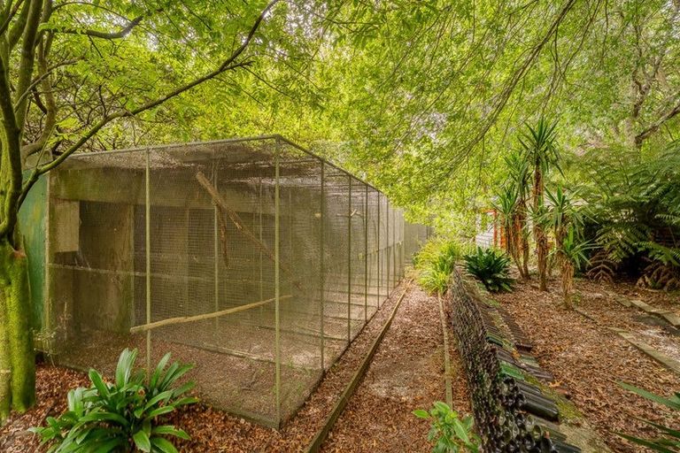 Photo of property in 365 Mill Creek Road, Kaimarama, Whitianga, 3591