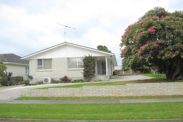 Photo of property in 107 Kawiu Road, Levin, 5510