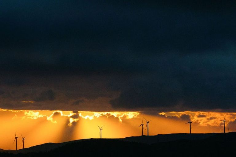 Photo of property in 38 Tea Tree Lane, Woodridge, Wellington, 6037