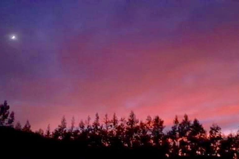 Photo of property in 4942 Hampden-palmerston Road, Bushey, Palmerston, 9482