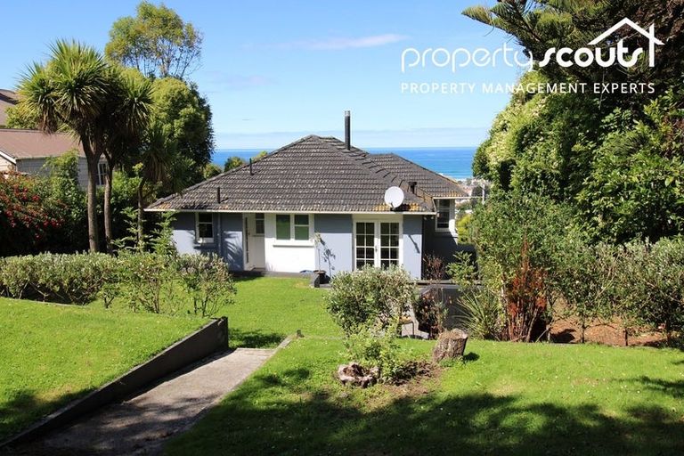 Photo of property in 14 Coney Hill Road, Saint Clair, Dunedin, 9012