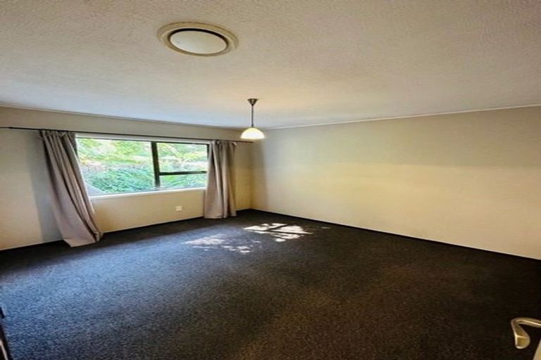 Photo of property in 19a Amante Crescent, Mairangi Bay, Auckland, 0630