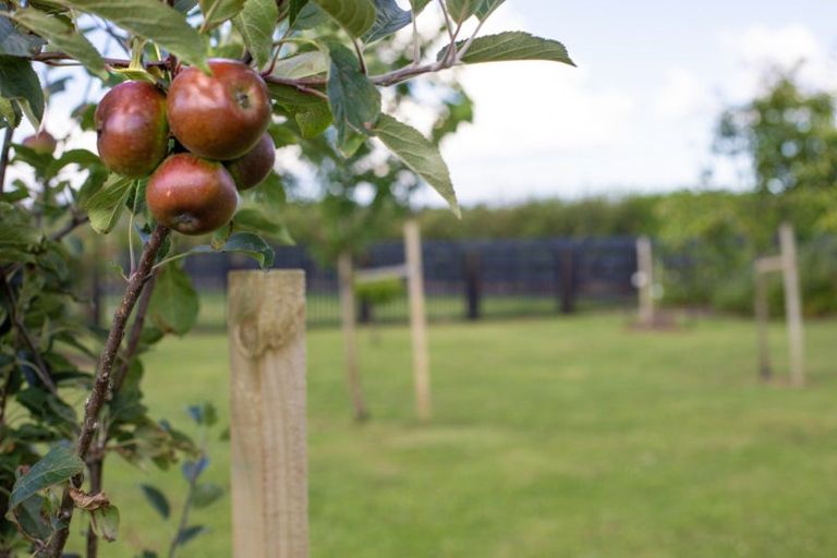 Photo of property in 55 Whare Marama Drive, Leamington, Cambridge, 3432