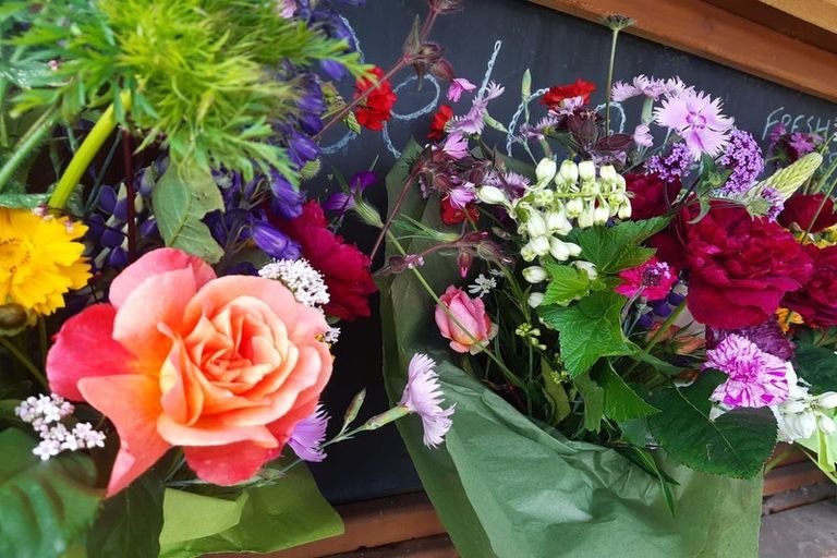 Photo of property in 40 Cashel Street, Waimate, 7924