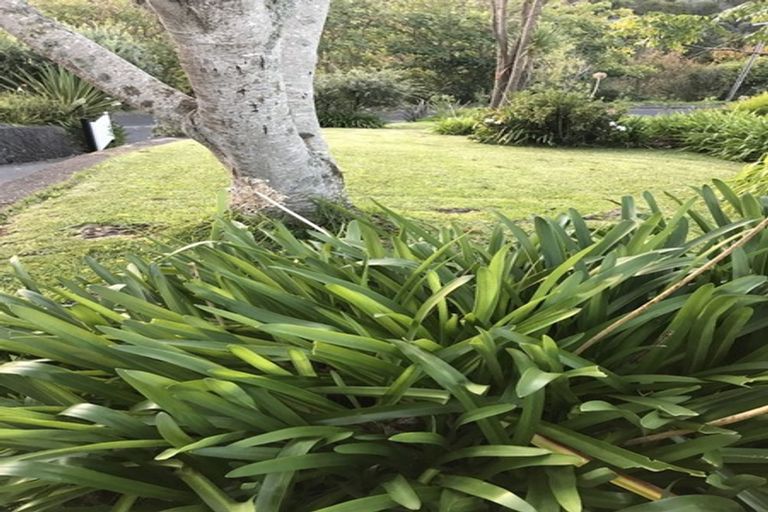 Photo of property in 23 Scott Road, Tamaterau, Whangarei, 0174