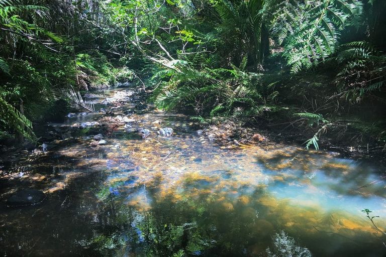 Photo of property in 89 Bethells Road, Waitakere, Auckland, 0782