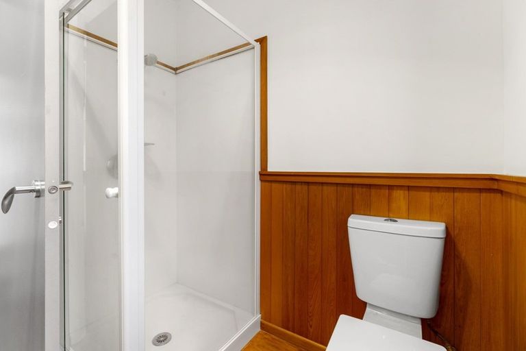 Photo of property in 252 Tremaine Avenue, Highbury, Palmerston North, 4412