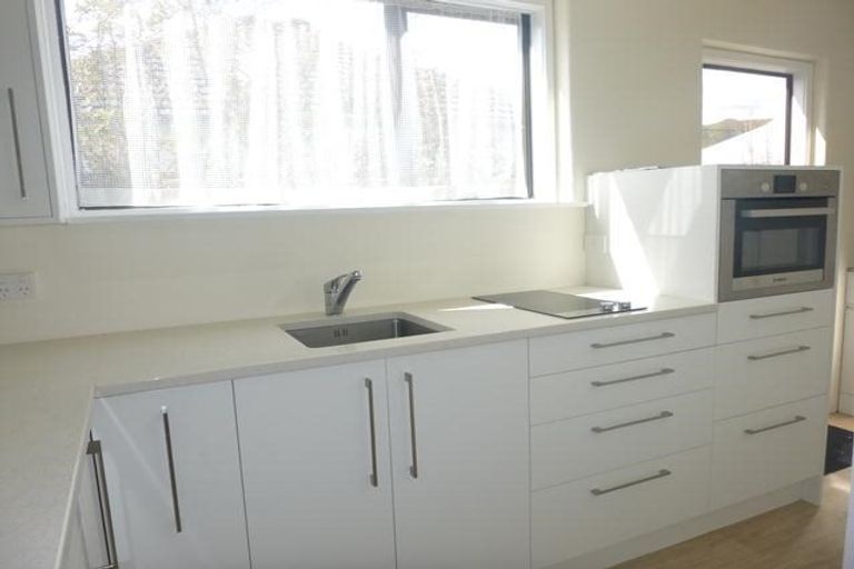 Photo of property in 99a Pretoria Street, Hutt Central, Lower Hutt, 5010