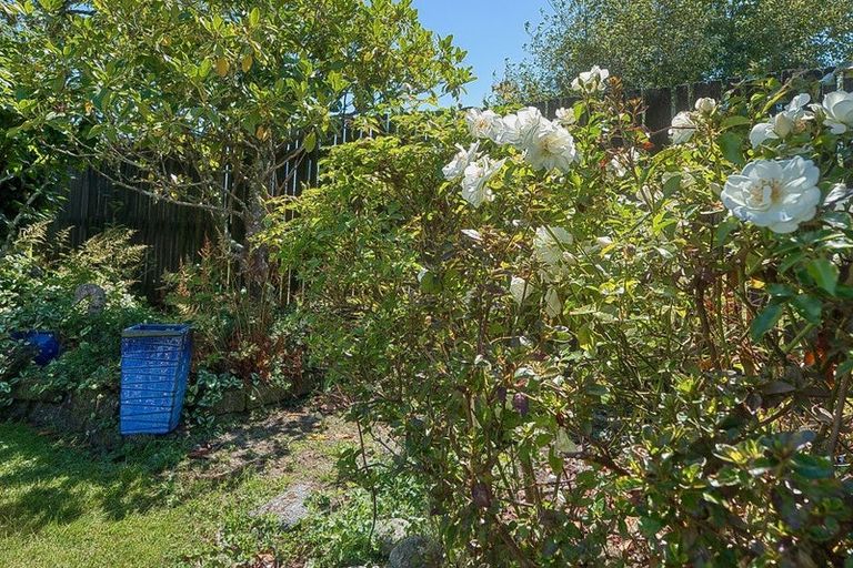 Photo of property in 38 Whitcombe Terrace, Hokitika, 7810