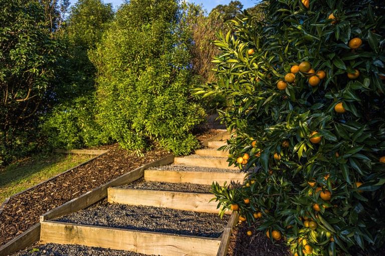 Photo of property in 87 Ridge Road, Mahurangi East, Warkworth, 0982