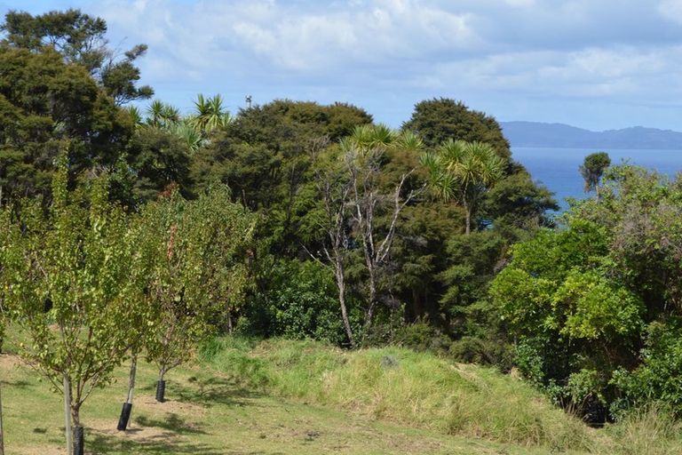 Photo of property in 3 Puriri Place, Tuateawa, Coromandel, 3583