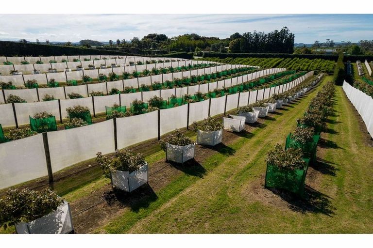 Photo of property in 581 Kerikeri Road, Kerikeri, 0293