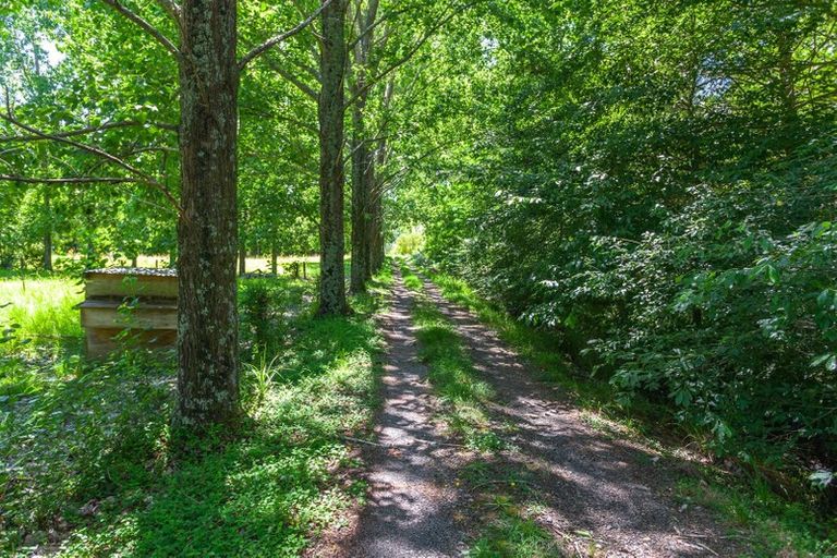 Photo of property in 345 Hikuai Settlement Road, Hikuai, 3579