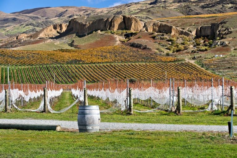 Photo of property in 182b Felton Road, Bannockburn, Cromwell, 9384