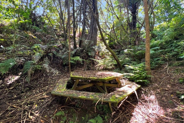 Photo of property in 1377e Manawahe Road, Manawahe, Whakatane, 3194